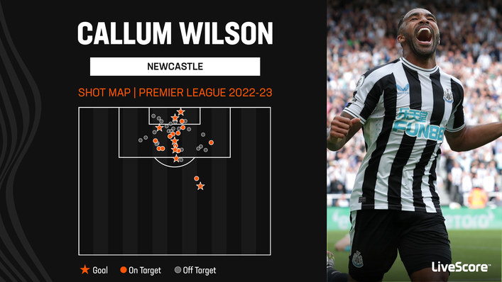 Callum Wilson has only scored one goal since the final weekend of October