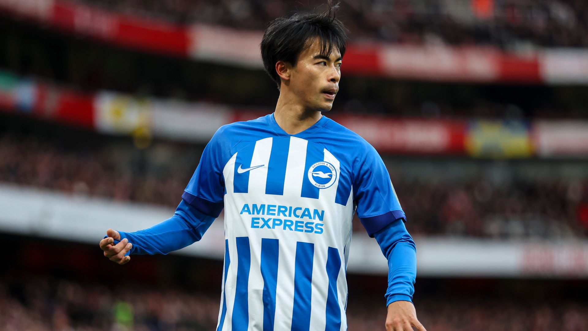 Brighton Blow As Kaoru Mitoma Ruled Out For The Season | LiveScore