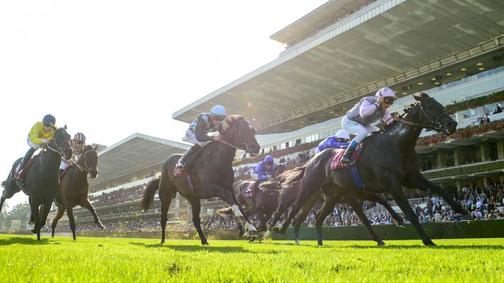 There are currently 14 runners left in for Sunday's Prix de l'Arc de Triomphe at Longchamp.