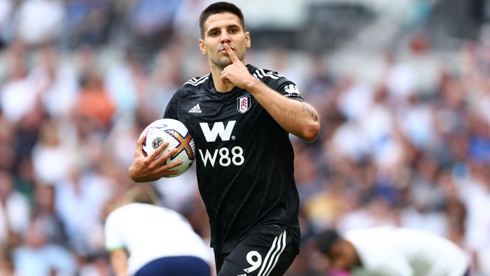 Aleksandar Mitrovic has silenced his doubters by hitting the goal trail