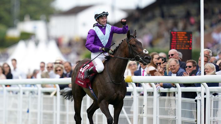Alcohol Free came home first at the  Sussex Stakes