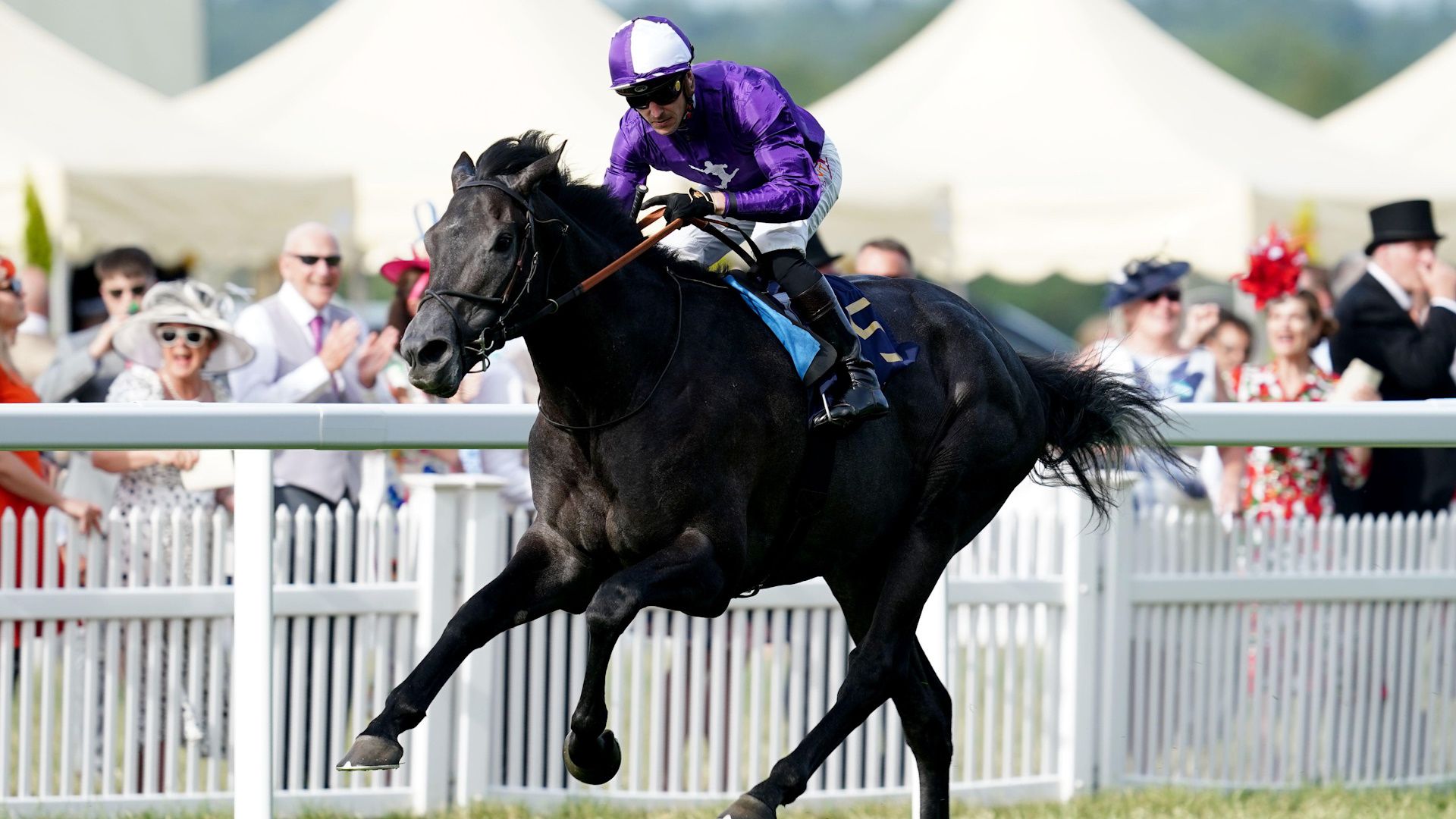 King VI And Queen Elizabeth Stakes predictions Plenty of Steel