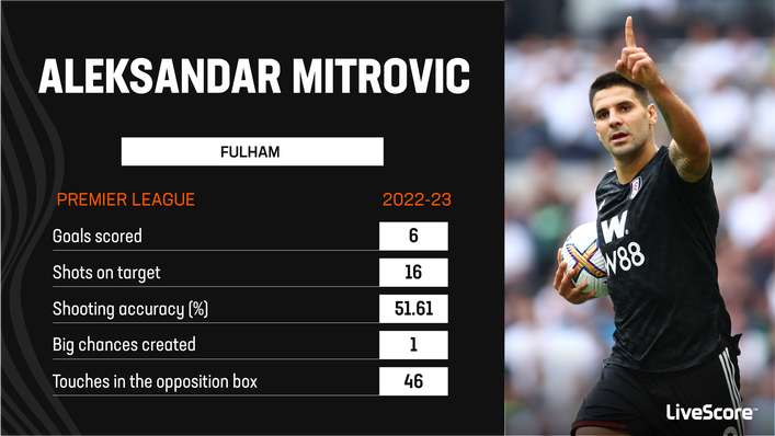 Aleksandar Mitrovic has been the main man for Fulham in the Premier League