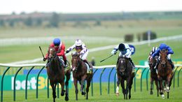 Newmarket is the focus on Friday with eight quality races to look forward to