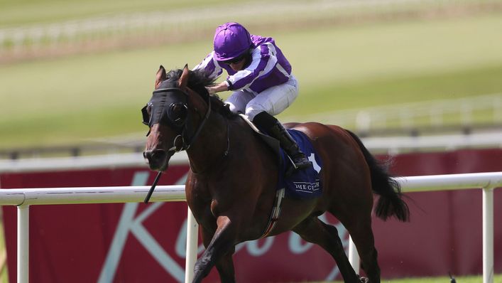 Aidan O'Brien's charge Order of Australia has suffered a career-ending injury