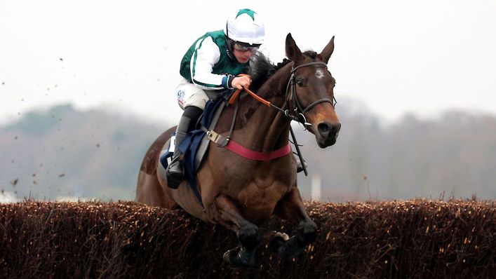 L'Homme Presse is expected to be a serious contender in the Cheltenham Gold Cup.