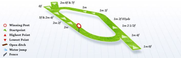 York's wide track lends itself to some of the most open races on the British calendar. Courtesy of Racing Post