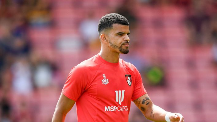 Dominic Solanke has been Bournemouth's star player this season