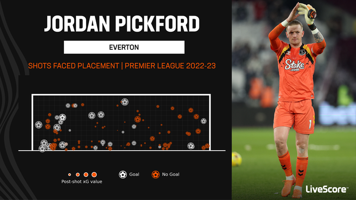 Jordan Pickford has been busy in the Everton goal this season