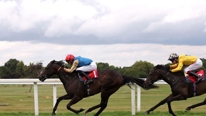 Jockey James Doyle could find plenty of joy on Aesterius