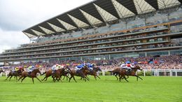 Ascot's six-race card is our focus for Friday's racing action