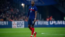 Paul Pogba has been ruled out of next month's World Cup through injury